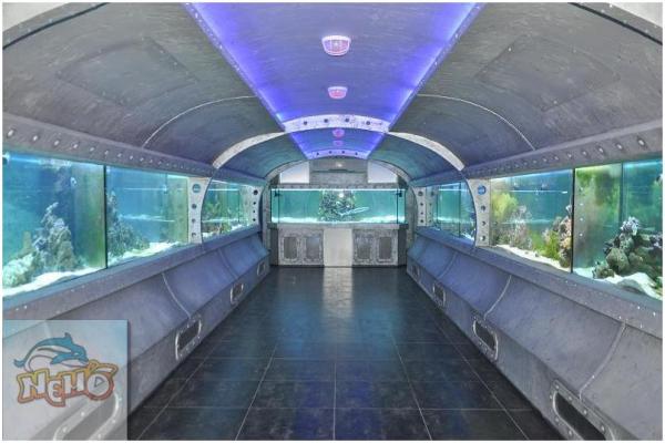 Морские аквариумы в харьковском дельфинарии. Морские аквариумы в Харькове. Морской аквариум на заказ.