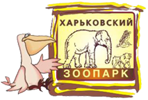 Аквариум из стекла 19мм