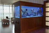 Морской аквариум
