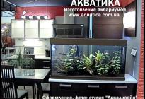 Аквариум  традиционной  классической  формы
